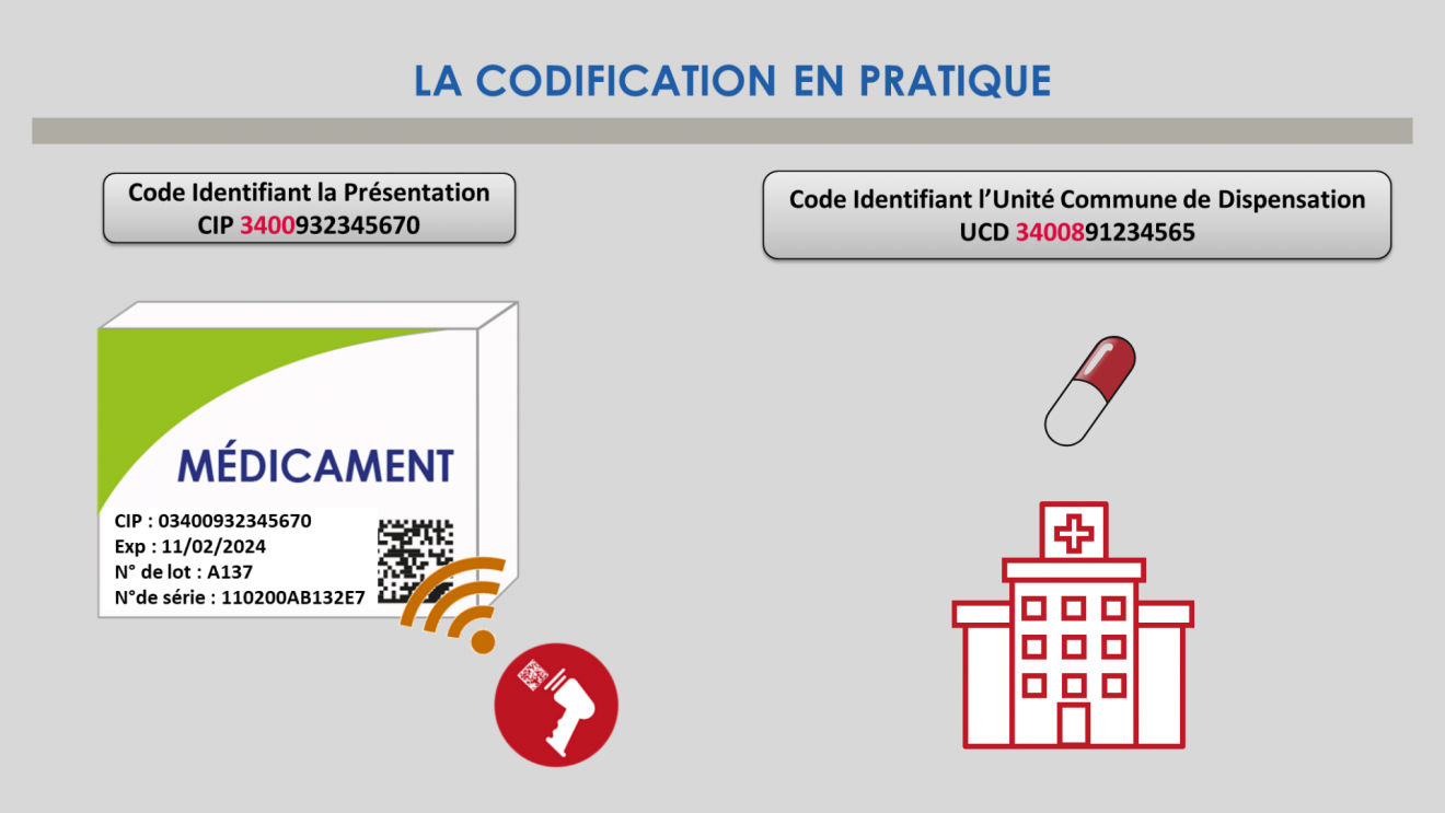 Réglementation du médicament - CIP